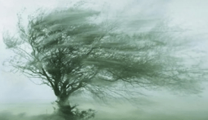 纽约州启动恶劣天气预警宣传周呼吁民众做好应急准备